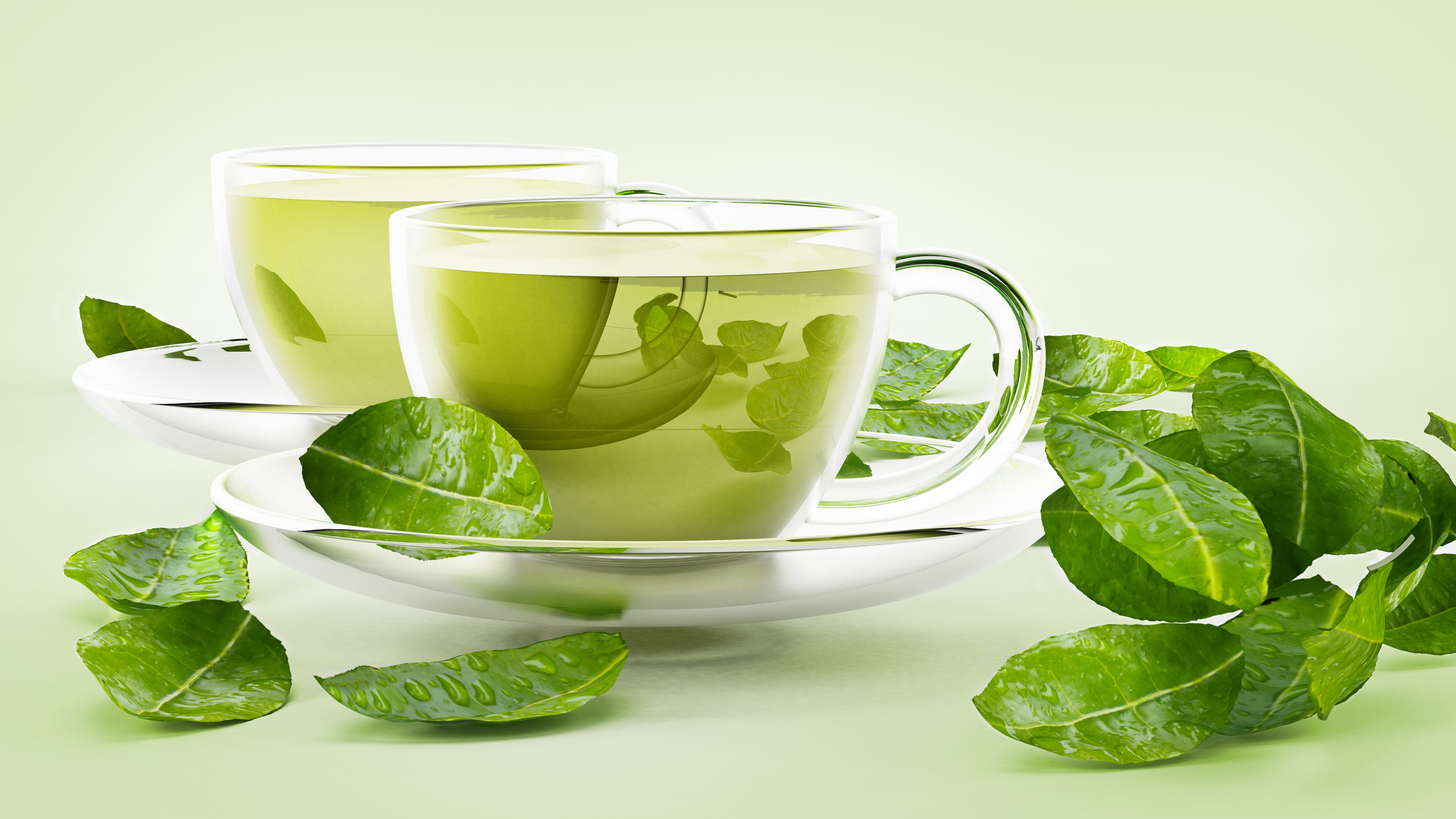 فوائد الشاي الأخضر للجسم