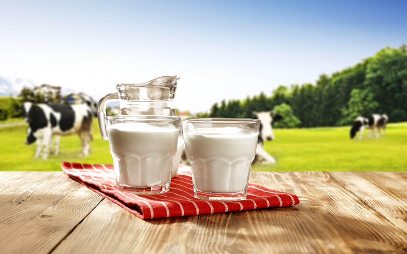 فوائد الحليب المتنوعة للجسم