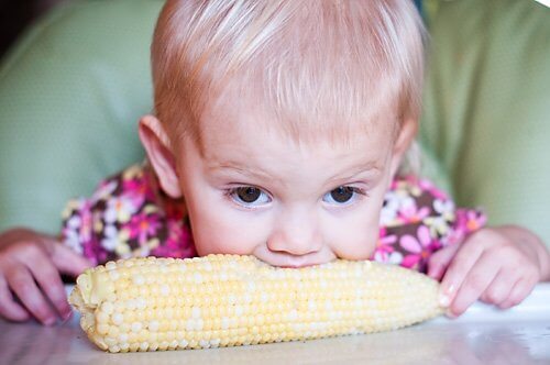 فوائد الذرة للأطفال والرضع.. ومتي تقدميها لطفلك