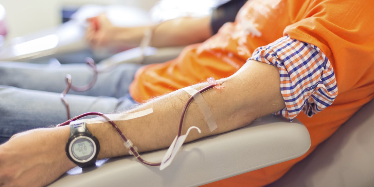 ماذا يفعل التبرع بالدم في جسم الإنسان؟ 10 فوائد