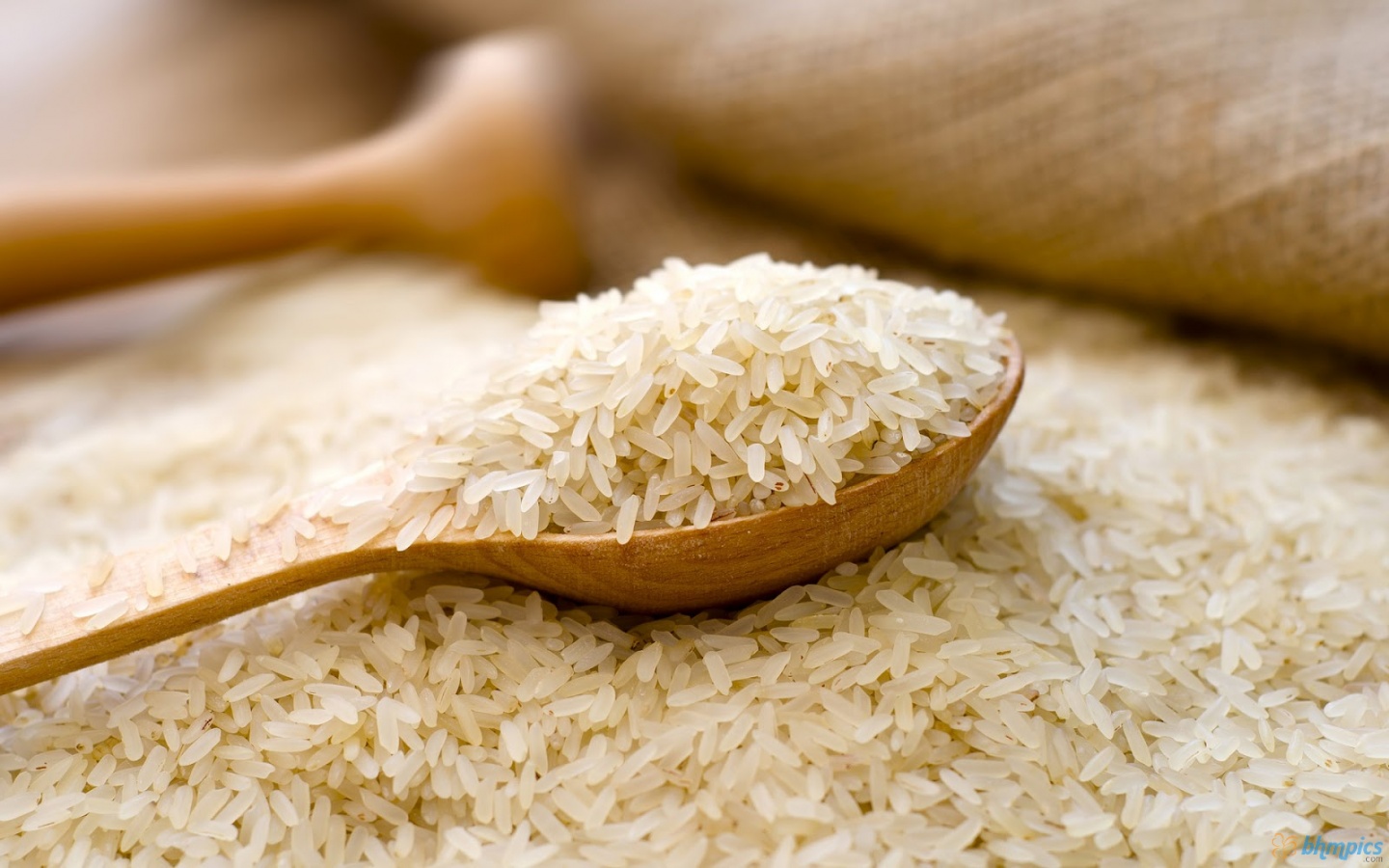تفسير رؤية الأرز في المنام "بشارة على البركة والخير والعمل الصالح"