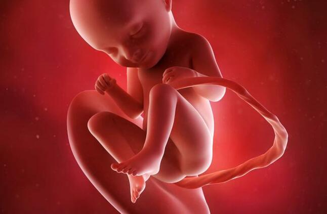 تطورات الجنين في الشهر الثامن الحمل اخبار