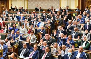 برلمانيون: قرارات السيسي تاريخية وتوفر حياة كريمة لملايين المصريين | أهل مصر