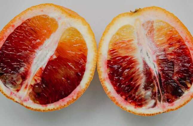 دراسة جديدة تكشف فائدة "عظيمة" لنوع نادر من البرتقال.. وتأثيرها على الوزن