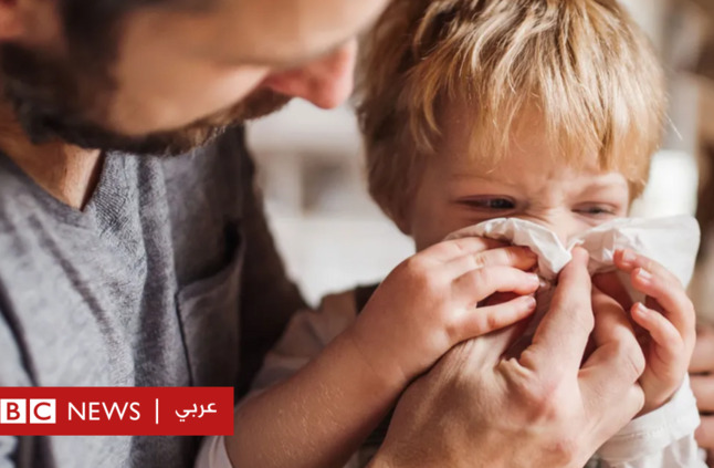 كيف تساعد السويد الآباء في التوفيق بين متطلبات العمل والأسرة؟ - BBC News عربي