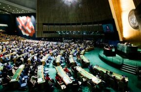 الأمم المتحدة:  مصر تلعب دورا رائدا فى التخفيف من آثار تغير المناخ - اليوم السابع