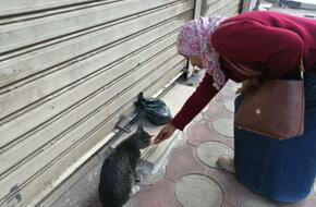 «سمية» تضع روشتة نظام غذائي لقطط الشارع: «بكلمهم وبيفهموني والناس بتضايقني»