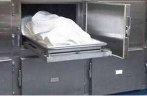 تفاصيل مقتل عامل بسبب خلافات مالية في أسيوط: «44 شظية خرطوش في الصدر»