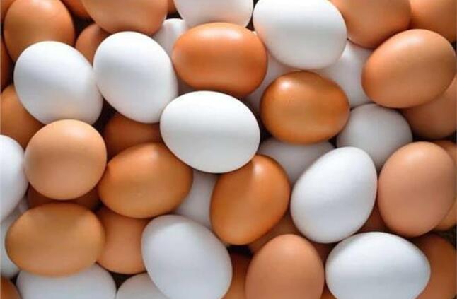 أسعار البيض تواصل الارتفاع في الأسواق