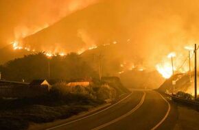 حرائق غابات في كاليفورنيا.. ومصرع 38 شخصا بسبب زلازل أفغانستان