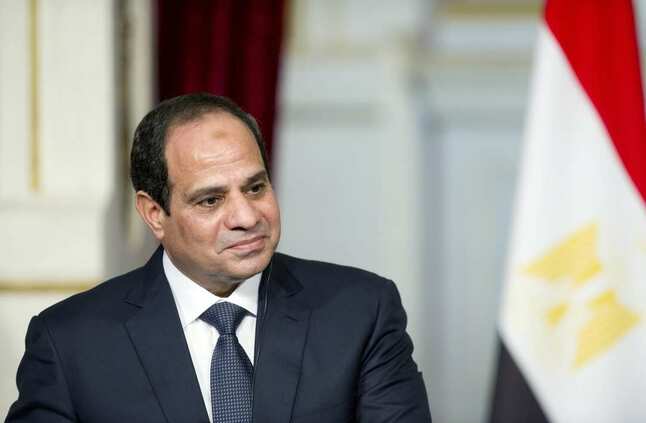 بعد توجيهات الرئيس السيسي .. مصر تحتل المركز الأول في إنتاج الزيتون عالميًا