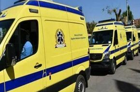 إصابة 9 عمال في انقلاب سيارة نقل بوادي النطرون | أهل مصر