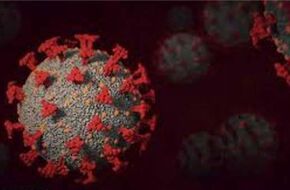 الصحة تعلن تسجيل 1603 حالات إيجابية جديدة بفيروس كورونا.. و38 وفاة