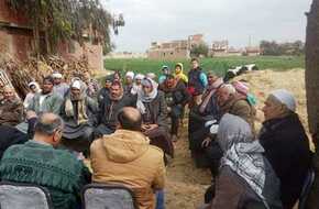 ندوة إرشادية حول النهوض بمحصول القمح في الشرقية | المصري اليوم