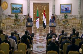 الأزمة الليبية والقضية الفلسطينية تتصدران مباحثات السيسي والرئيس الجزائري