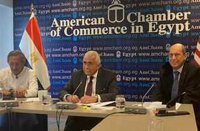 رئيس غرفة التجارة الأمريكية: استراتيجية لفتح قطاعات بالكامل للقطاع الخاص وحده | المصري اليوم