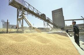 زيادة أسعار القمح عالميا يرفع الفاتورة الاستيرادية لمصر
