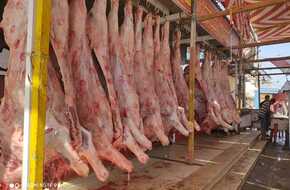 رئيس شعبة القصابين يوضح حقيقة ارتفاع أسعار اللحوم (تفاصيل) | المصري اليوم