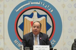 وزير المالية: الاستثمار الزراعي والصناعي يتصدر الأولويات الرئاسية لتحقيق الأمن الغذائي لمصر - جريدة البورصة