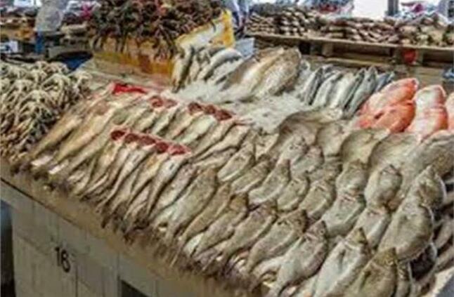 استقرار أسعار الأسماك في سوق العبور السبت 28 مايو 