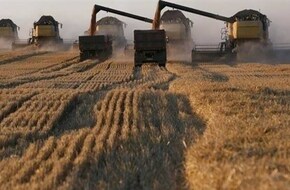 مسؤول روسي: توريد الحبوب الروسية لدول العالم سيكون بالروبل