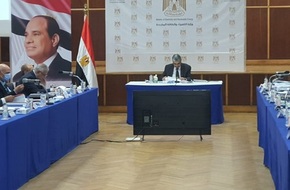 «القابضة لكهرباء مصر» تستهدف استثمار 30 مليار جنيه في 2022-2023 