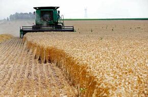 روسيا تعلن وقف تصدير الأحماض الأمينية المستخدمة في الزراعة حتى نهاية العام