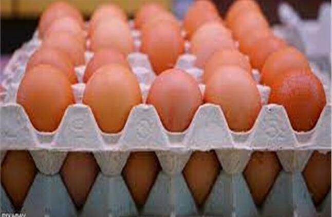 ارتفاع طفيف في أسعار البيض الجمعة 1 يوليو