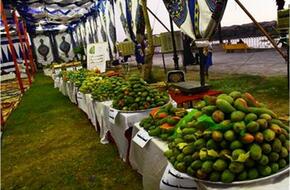 استقرار أسعار الفاكهة في سوق العبور اليوم 3 يوليو 2022