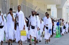 الصحة: تحويل 4 حجاج مصريين إلى المستشفيات السعودية وحالاتهم مستقرة - اليوم السابع