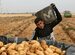 28 مليون دولار زيادة بصادرات مصر من السلع الزراعية فى مارس الماضى - اليوم السابع
