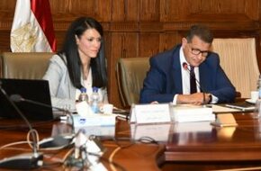 رانيا المشاط: مصر اتخذت خطوات متتالية ومتسقة نحو تنفيذ أهداف التنمية المستدامة - اليوم السابع