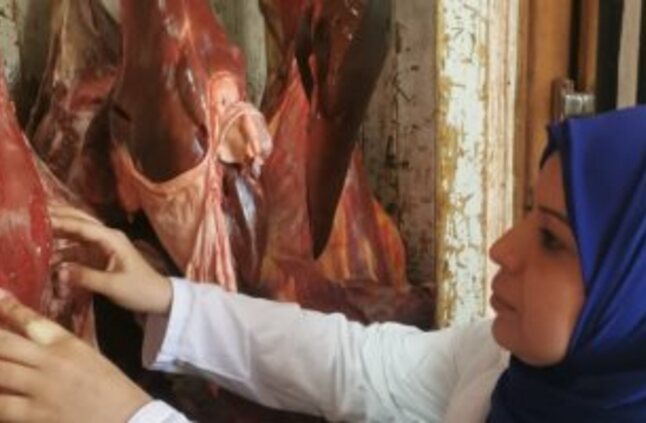 شعبة القصابين تعلن استقرار أسعار اللحوم فى الأسواق - اليوم السابع