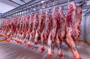 أسعار اللحوم الحمراء اليوم السبت 27 مايو