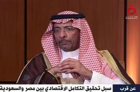 وزير الصناعة السعودي: هناك قاعدة جيدة لصناعة السيارات في مصر سنحاول الاستفادة منها