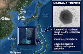على عمق 29 ألف قدم.. باحثون في الصين يكتشفون فيروسًا جديدًا كامنًا في قاع المحيط  