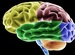أغذية تساعد على تحسين الوظائف الإدراكية للدماغ