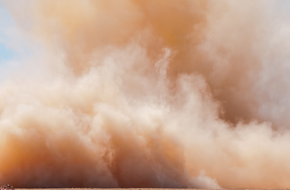 العواصف الترابية من الصحراء الكبرى تنشر مسببات حساسية غير مرئية حول العالم
