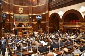 «الشيوخ» يناقش سياسة الحكومة بشأن الجزر الصناعية اليوم | أهل مصر
