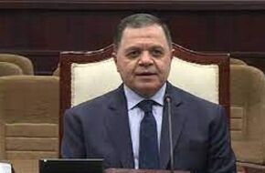وزير الداخلية يبعد أجنبيين خارج البلاد لـ الصالح العام | أهل مصر