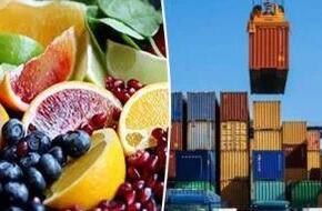 صادرات الصناعات الغذائية المصرية تتجاوز المليار دولار في شهرين
