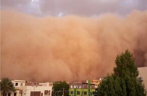 تحذير من «الأرصاد» للمواطنين بسبب الذباب الصحراوي
