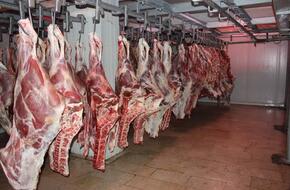 القباج: التضامن ساهمت بـ100 مليون جنيه لتغطية توزيع اللحوم على مدار العام الماضي