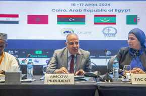 وزير الري يؤكد التزام مصر بالتعاون مع الدول الإفريقية لتحسين إدارة الموارد المائية