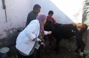 بيطري المنيا تنظم 6 قوافل علاجية مجانية في 6 قرى بدءا من 20 أبريل الجاري
