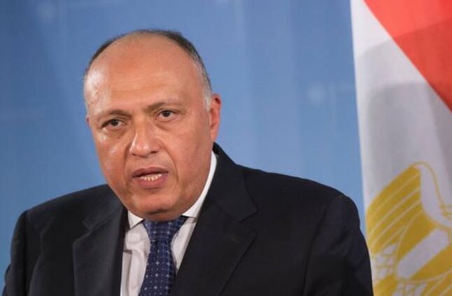 وزير الخارجية يتوجه إلى جنوب أفريقيا لرئاسة الوفد المصري في اجتماعات اللجنة المشتركة المصرية الجنوب أفريقية - صوت الأمة