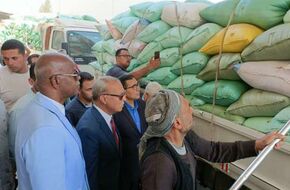 محافظ القليوبية: حصاد 12 ألف فدان من القمح وتوريد 358 طنا إلى الصوامع