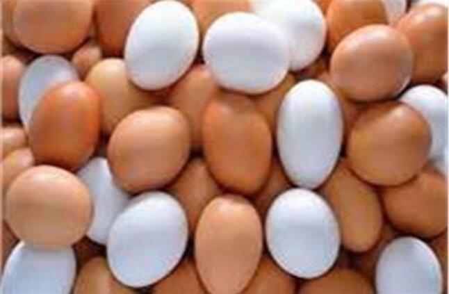 أسعار البيض اليوم الجمعة 19 أبريل