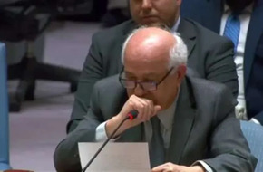 مندوب فلسطين يذرف الدموع داخل مجلس الأمن الدولي.. ما السبب؟ (فيديو)