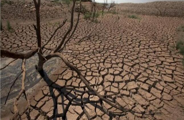 المغرب العربي يواجه خطر الجفاف والزراعة الأكثر تضرراً
